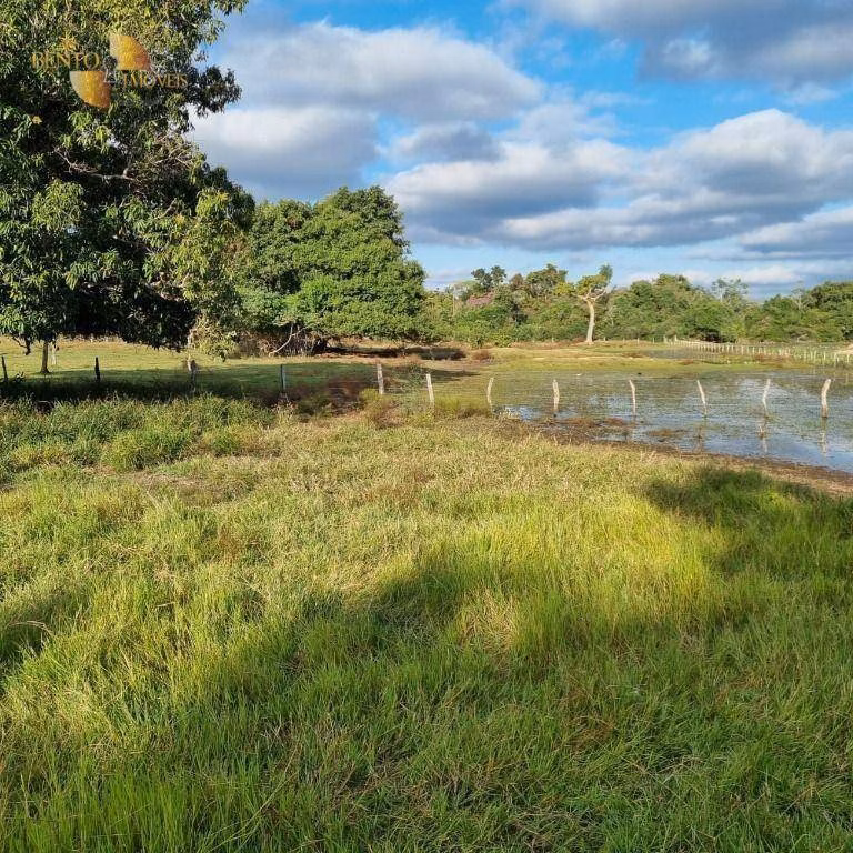 Farm of 6,370 acres in Poconé, MT, Brazil