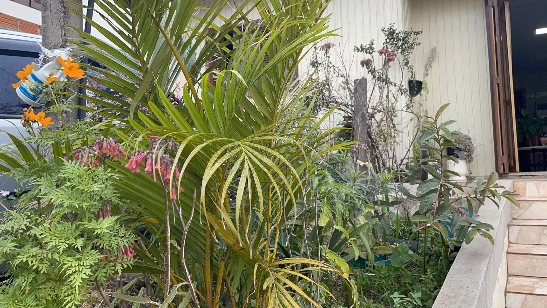 Plot of 800 m² in Santo Antônio da Patrulha, RS, Brazil