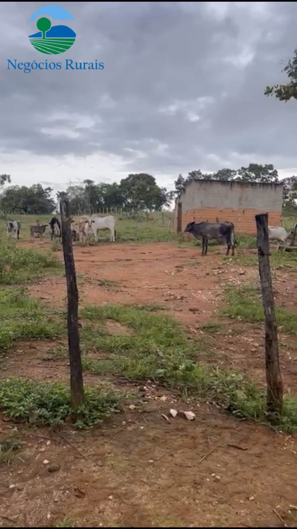 Sítio de 16 ha em Uruaçu, GO