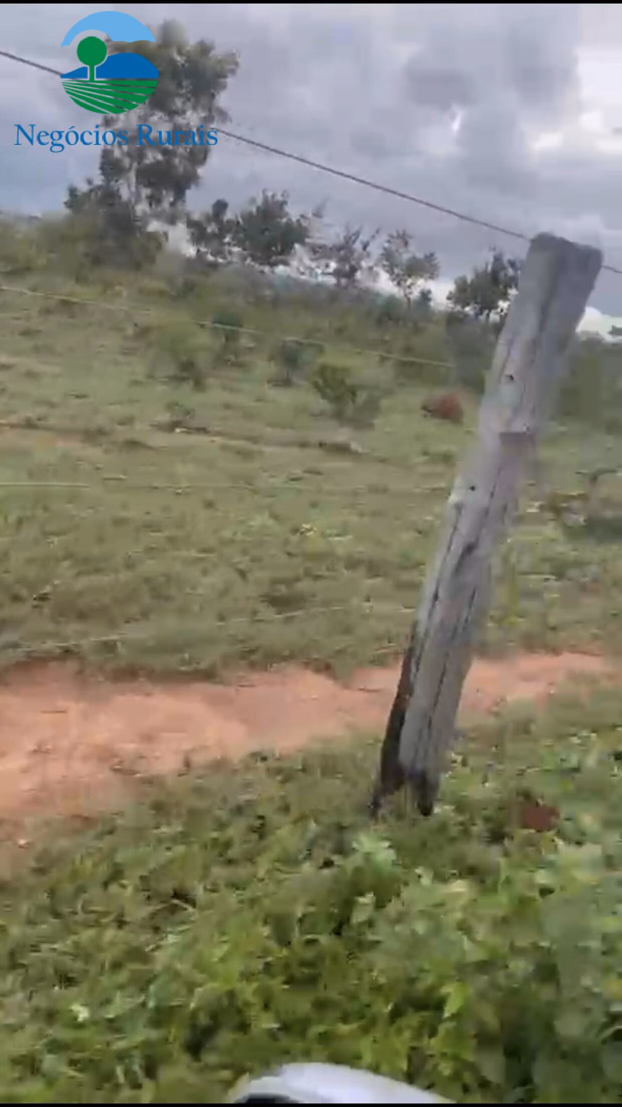 Small farm of 40 acres in Uruaçu, GO, Brazil