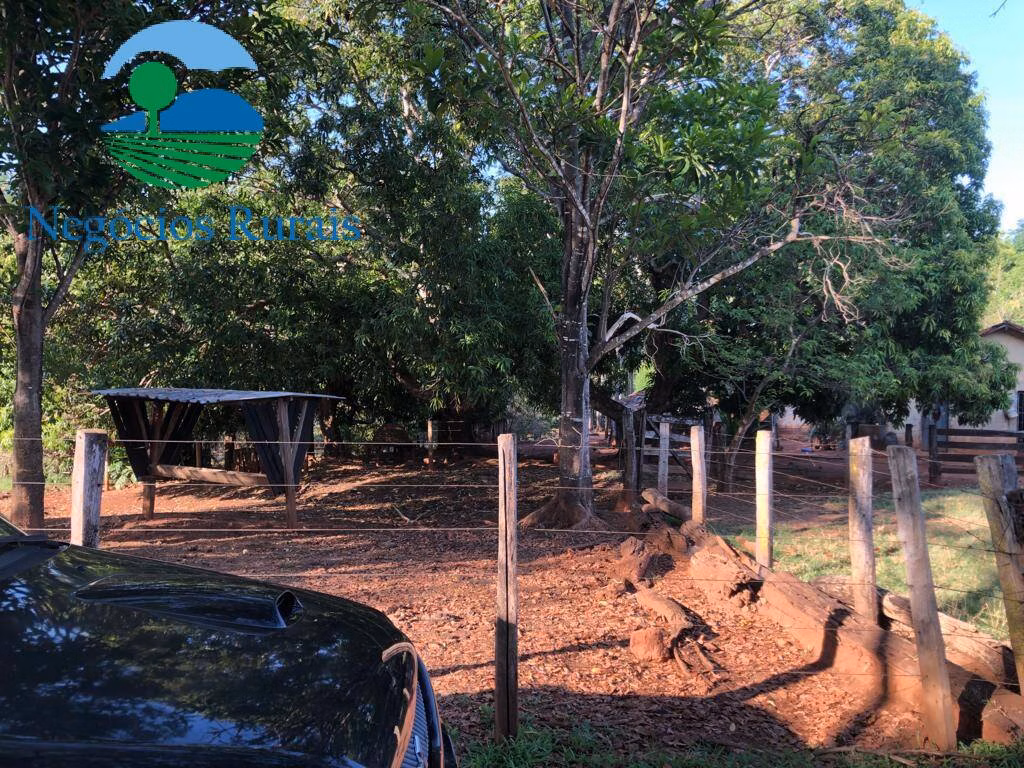 Small farm of 40 acres in Uruaçu, GO, Brazil