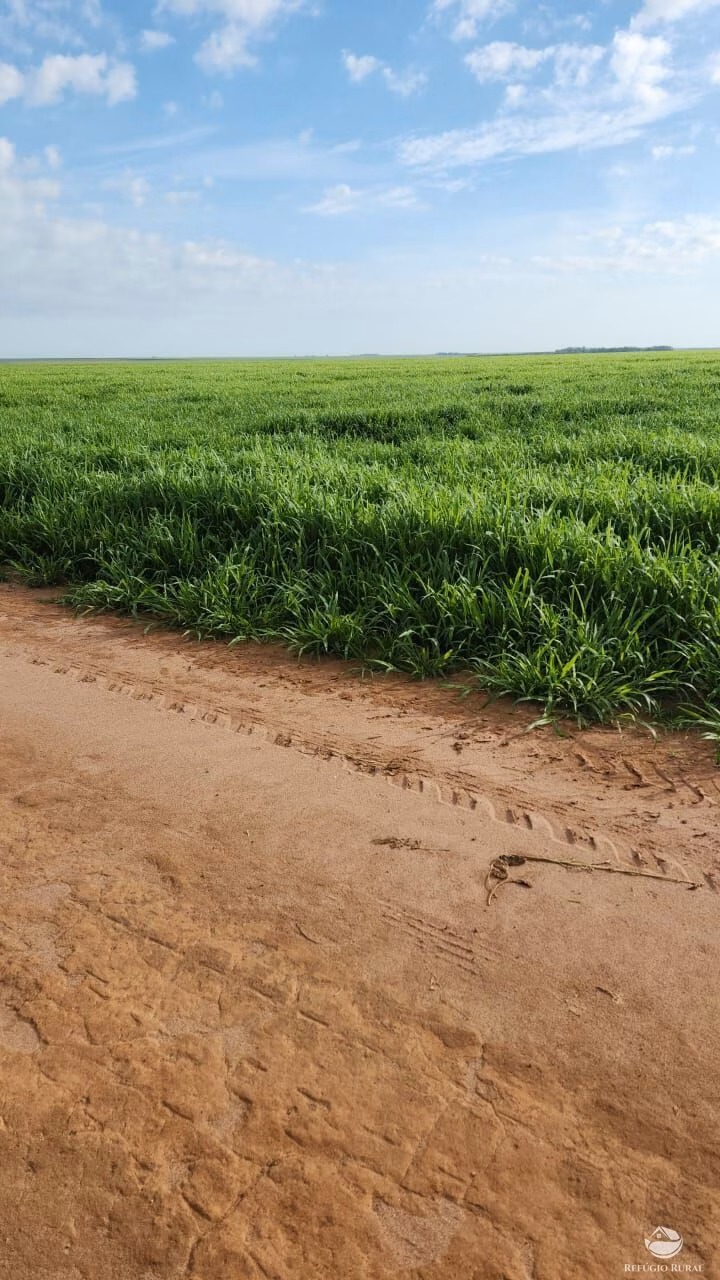 Fazenda de 3.560 ha em São Desidério, BA