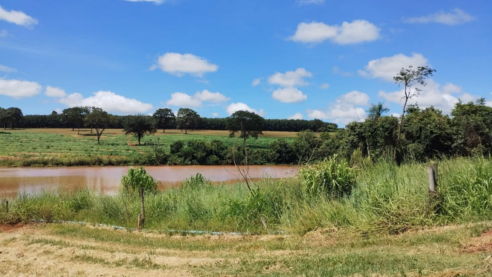 Fazenda de 122 ha em São José do Rio Preto, SP