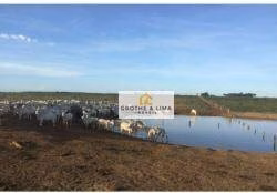 Fazenda de 7.150 ha em Barra do Corda, MA
