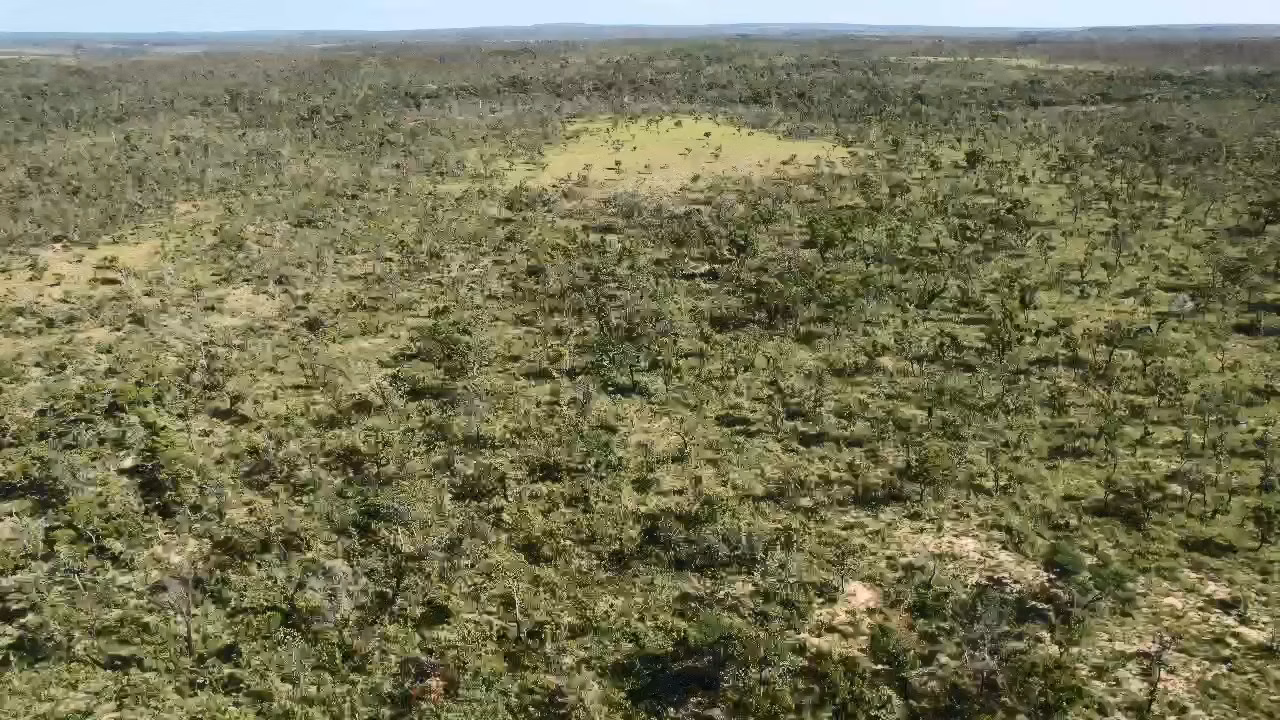 Farm of 32.124 acres in Ponte Alta do Tocantins, TO, Brazil