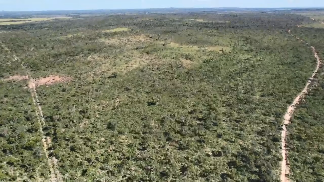 Farm of 32.124 acres in Ponte Alta do Tocantins, TO, Brazil