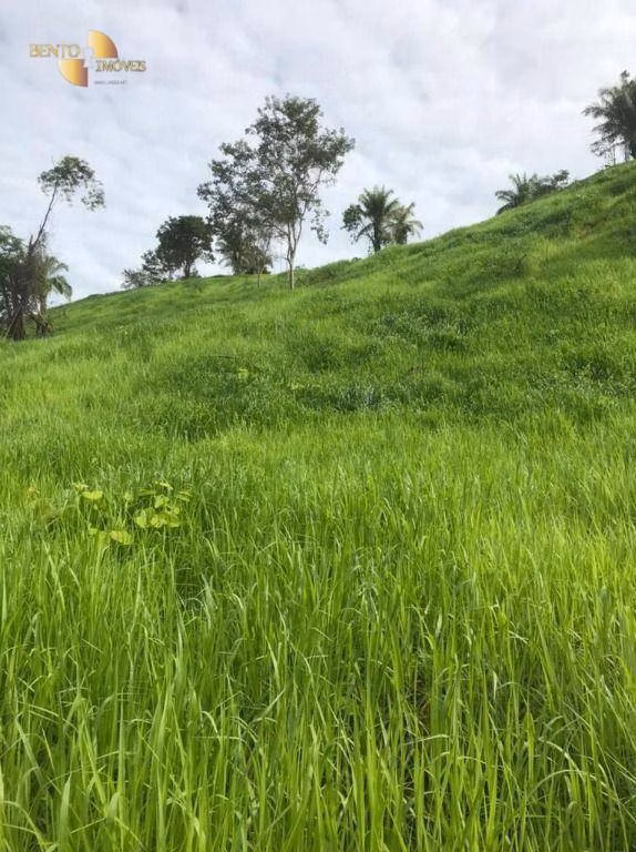 Fazenda de 1.006 ha em Dom Aquino, MT