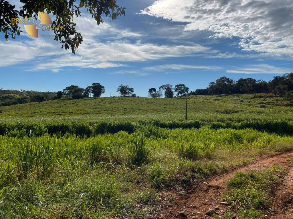 Fazenda de 1.006 ha em Dom Aquino, MT