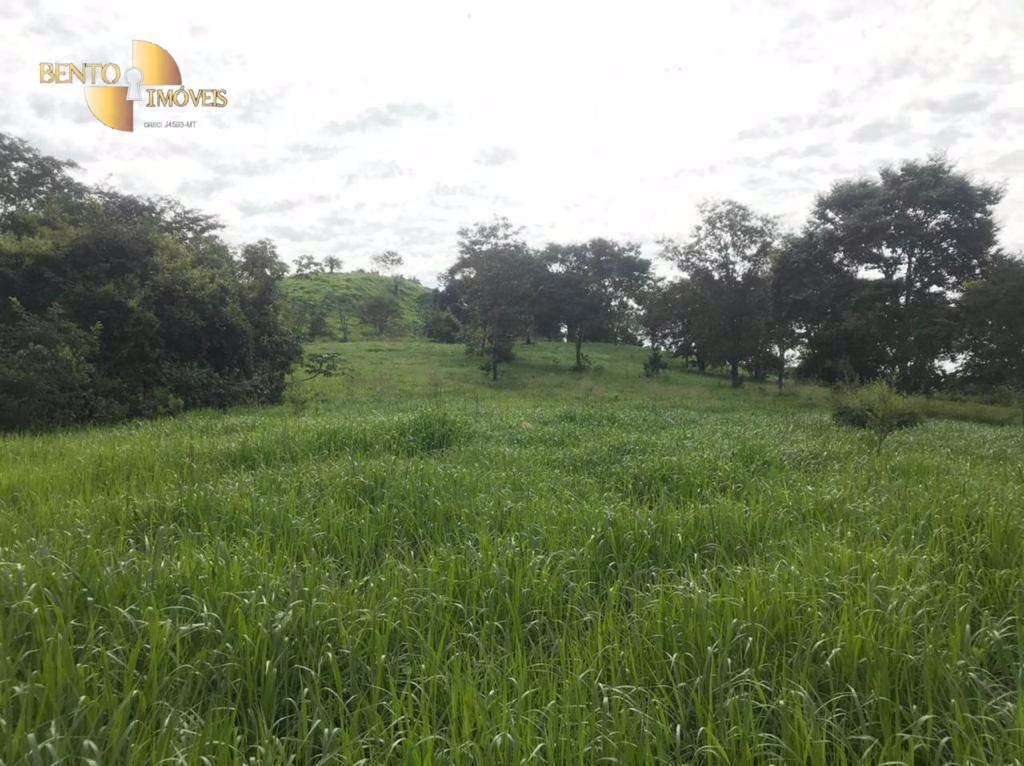 Fazenda de 1.006 ha em Dom Aquino, MT