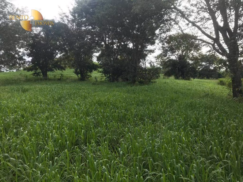 Fazenda de 1.006 ha em Dom Aquino, MT