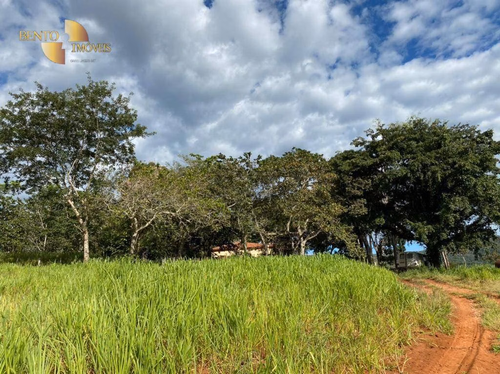 Fazenda de 1.006 ha em Dom Aquino, MT