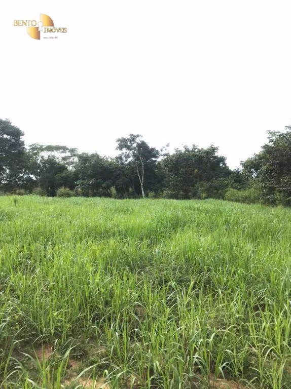 Fazenda de 1.006 ha em Dom Aquino, MT