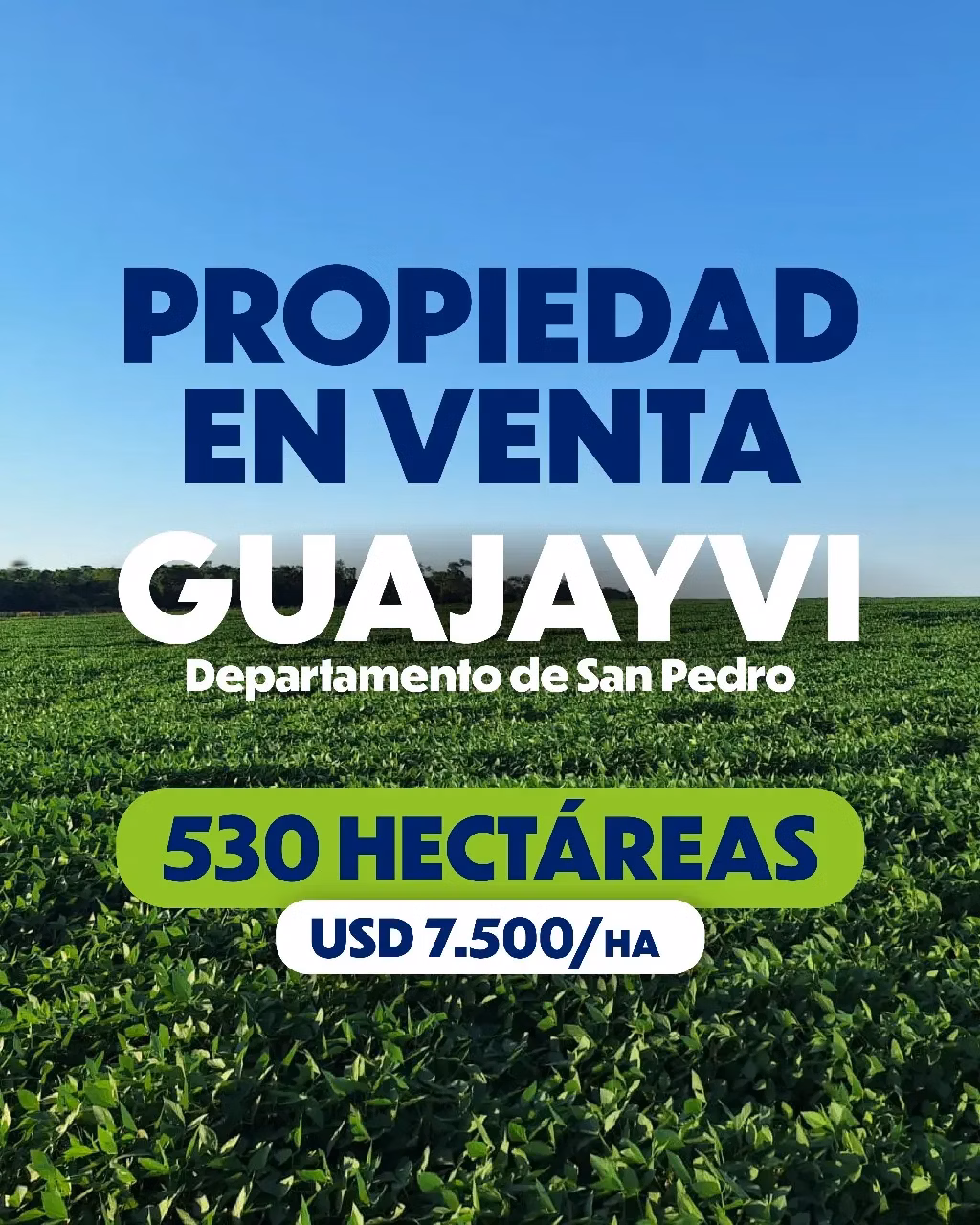 Fazenda à venda de 530 ha em San Pedro de Ycuamandiyú, Paraguai