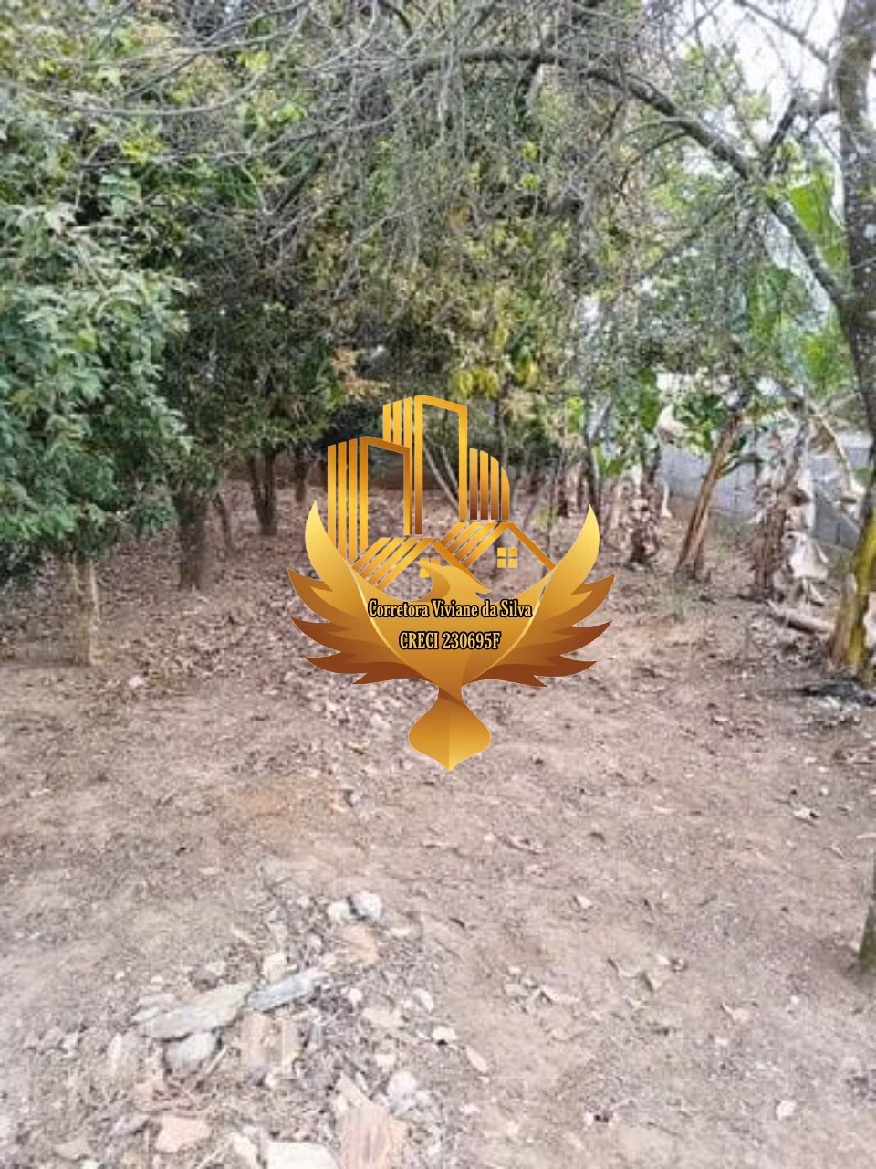 Chácara de 1.000 m² em Pindamonhangaba, SP