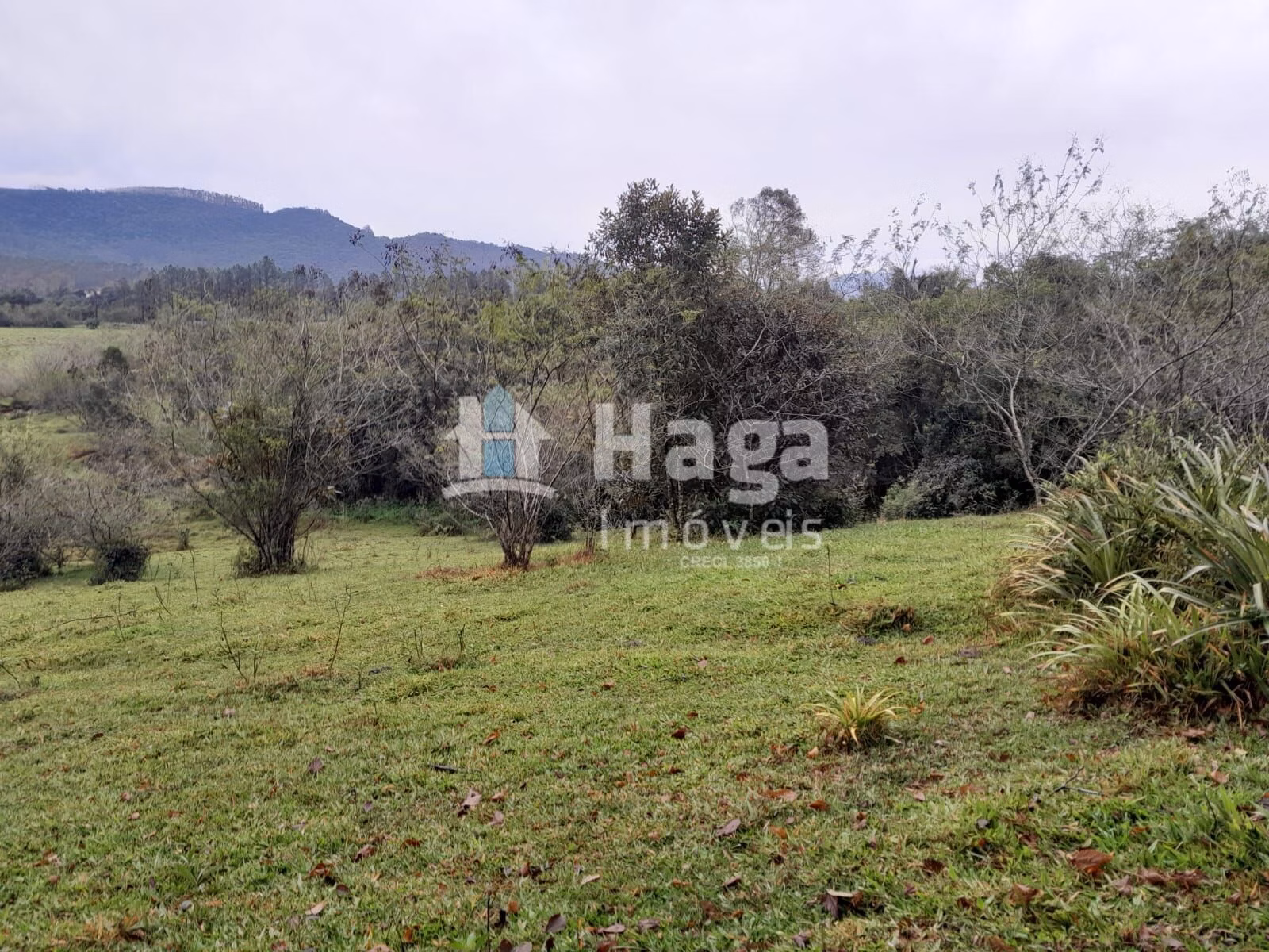 Chácara de 20 ha em Turvo, SC