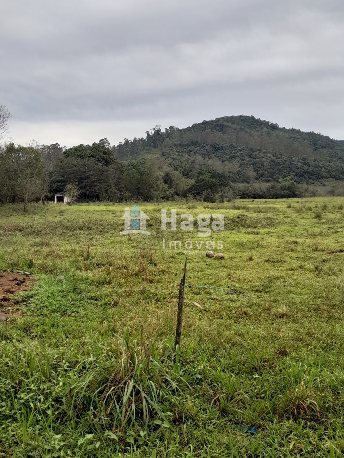 Chácara de 20 ha em Turvo, SC