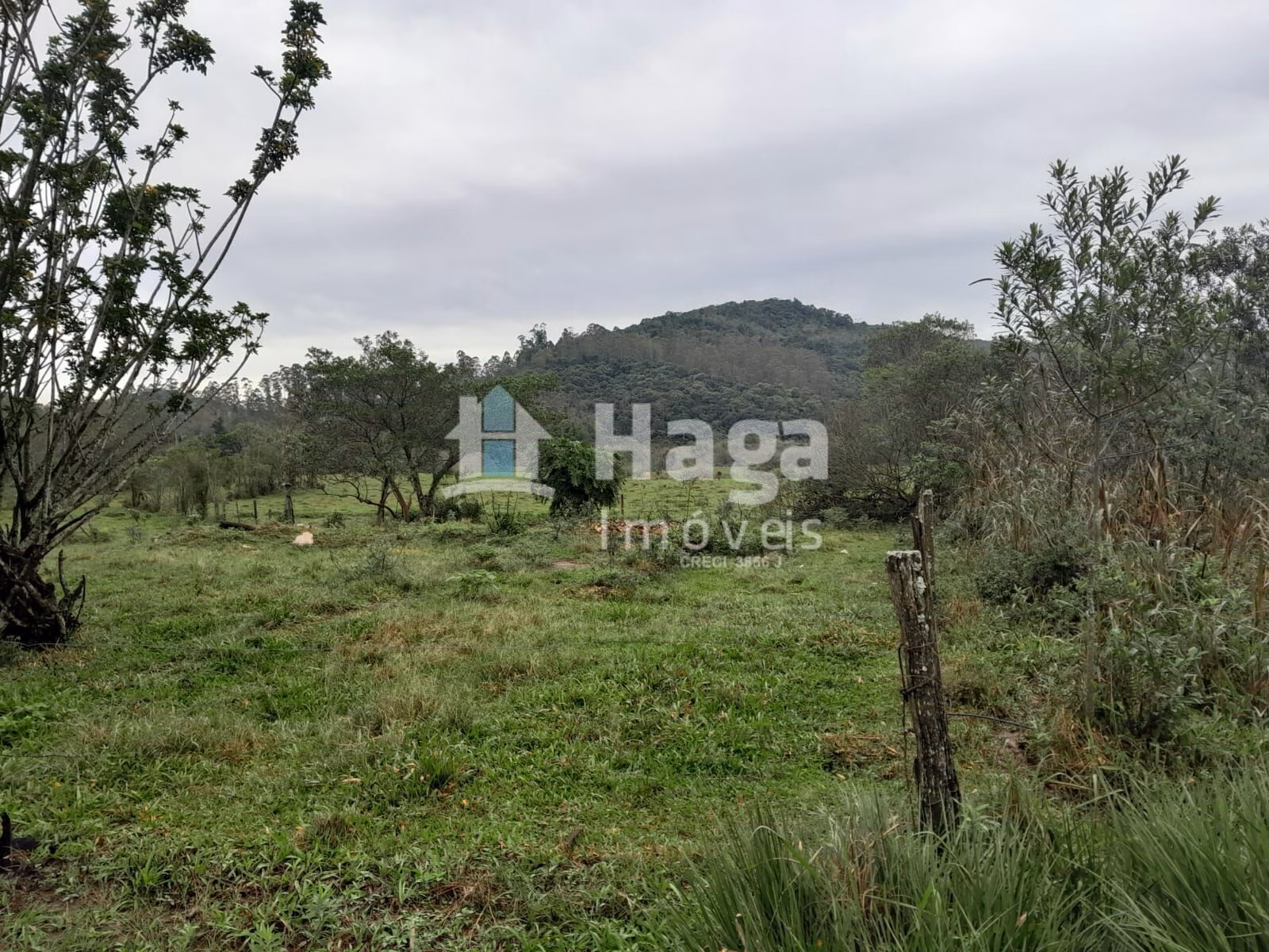 Chácara de 20 ha em Turvo, SC