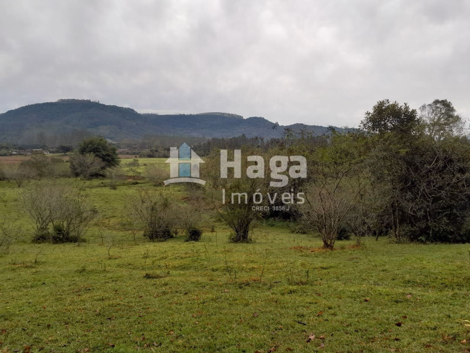 Chácara de 20 ha em Turvo, SC