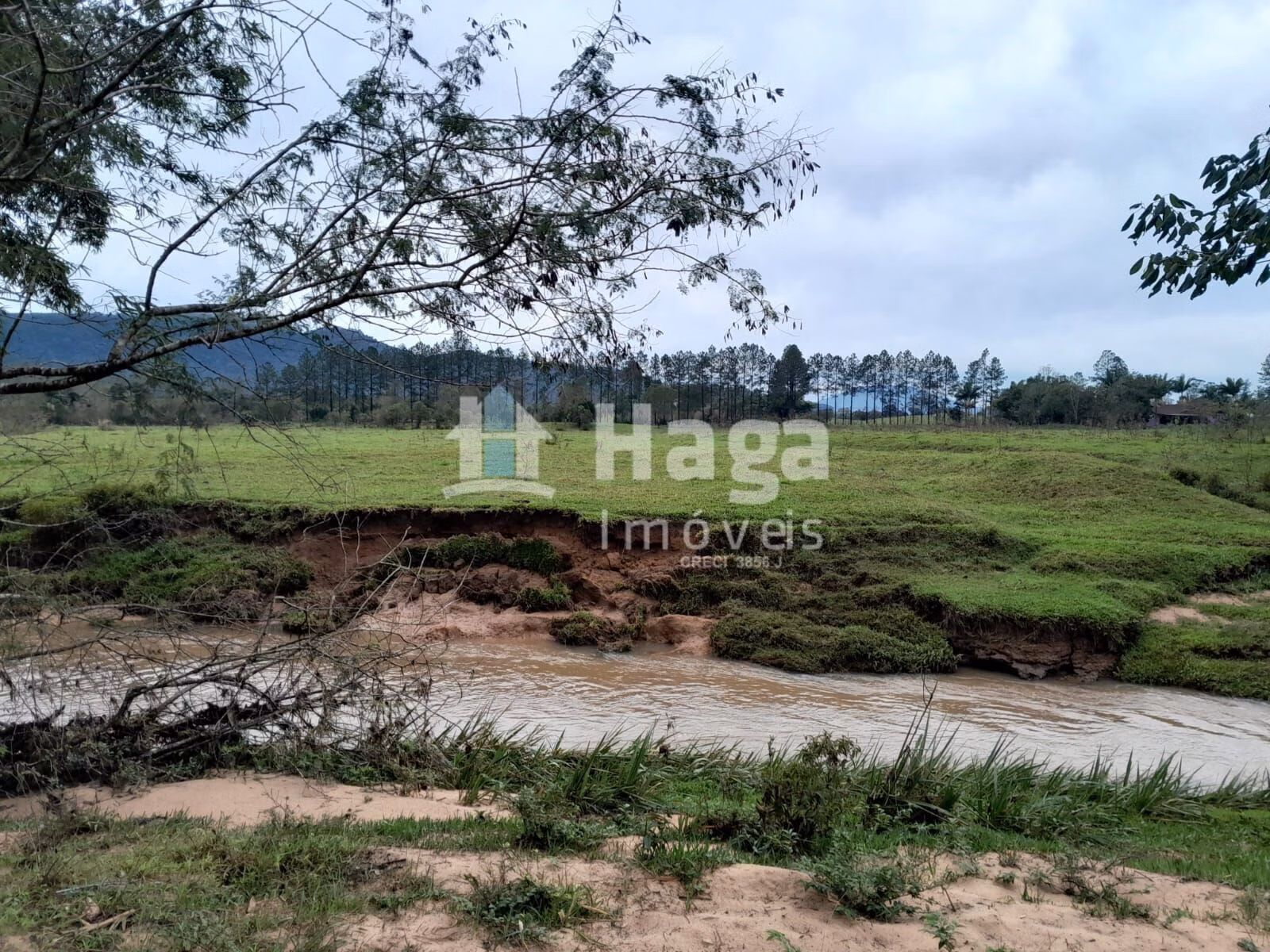 Chácara de 20 ha em Turvo, SC