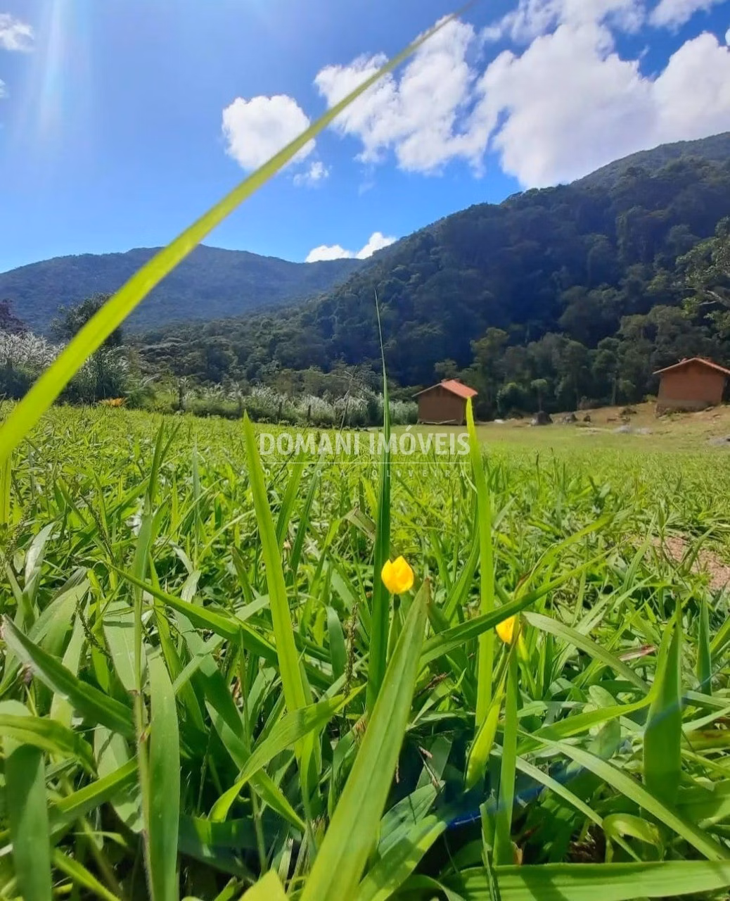 Casa à venda de 2.950 m² em Itamonte, MG