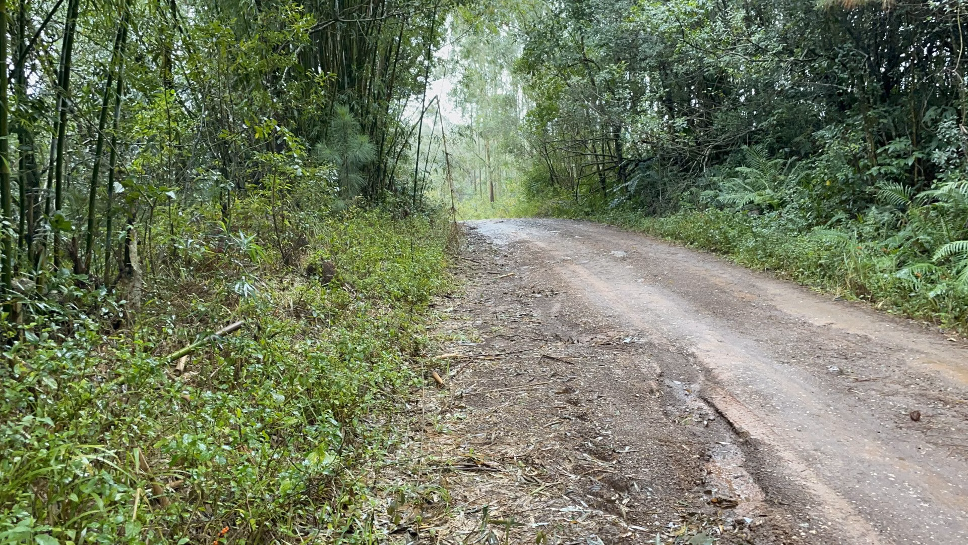 Sítio de 7 ha em Santo Antônio da Patrulha, RS
