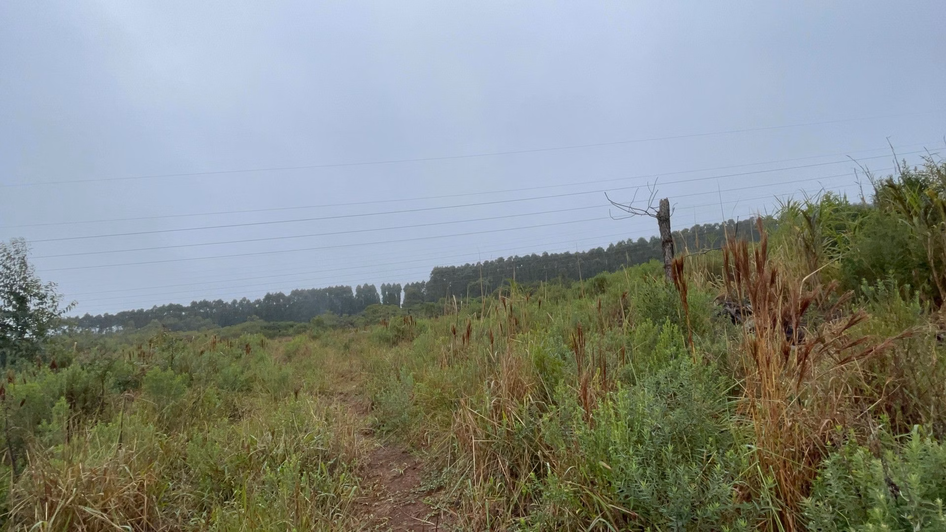 Sítio de 7 ha em Santo Antônio da Patrulha, RS