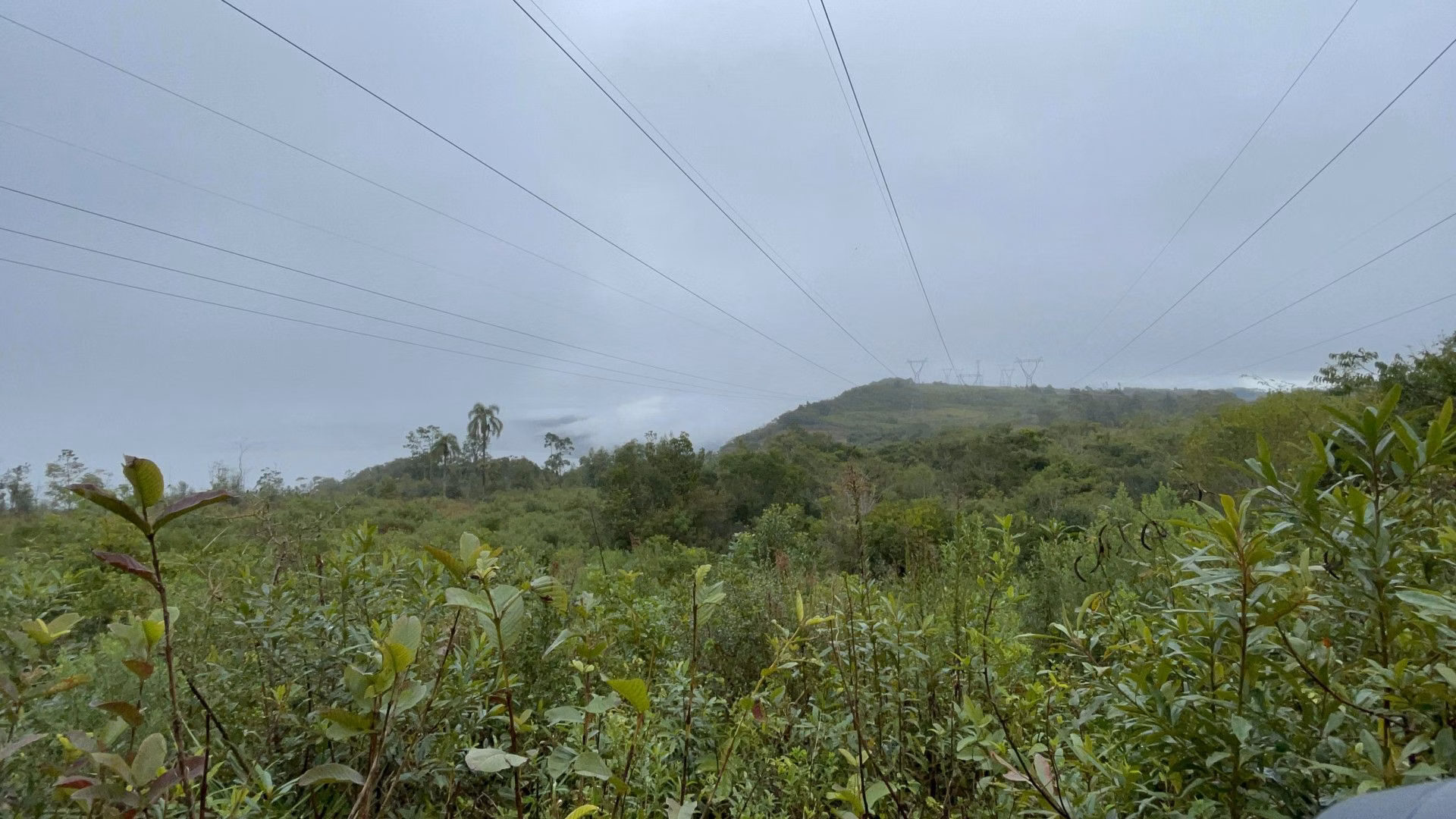 Sítio de 7 ha em Santo Antônio da Patrulha, RS