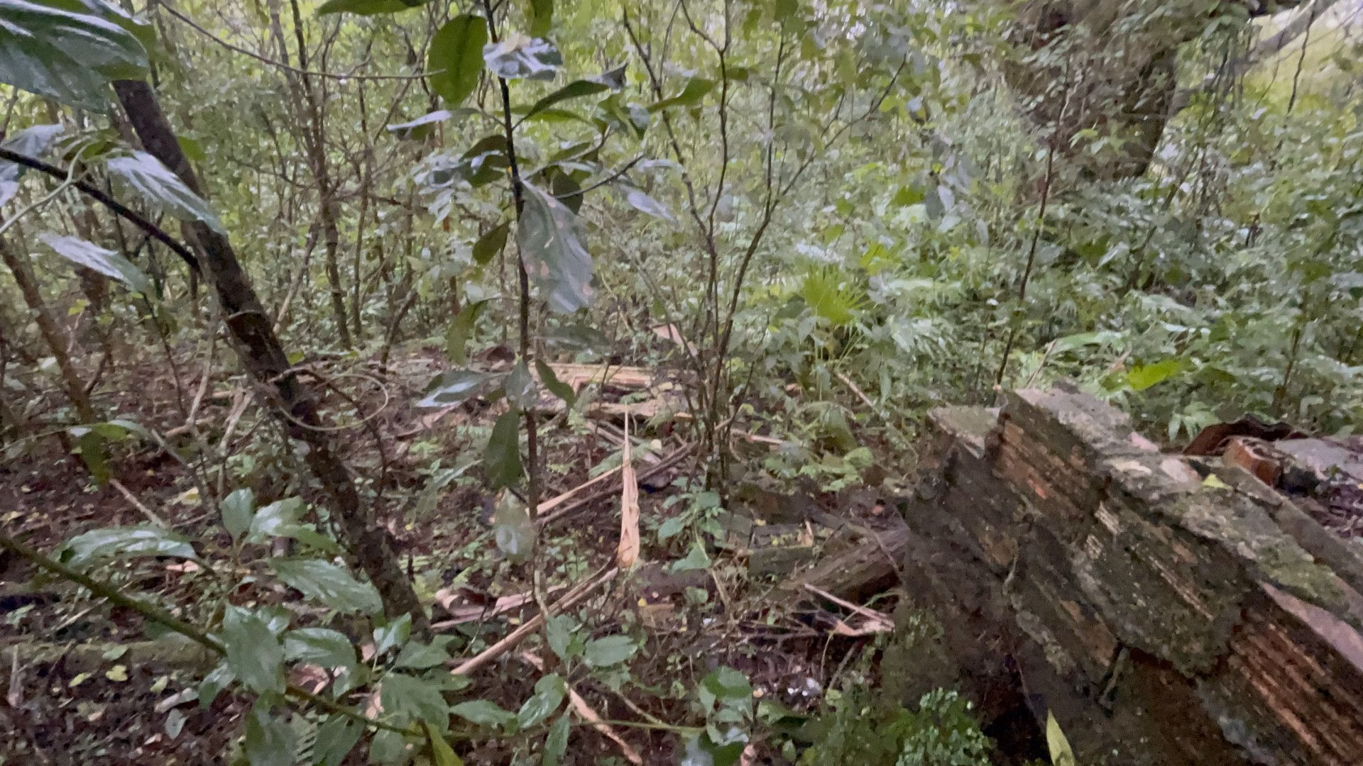 Sítio de 7 ha em Santo Antônio da Patrulha, RS