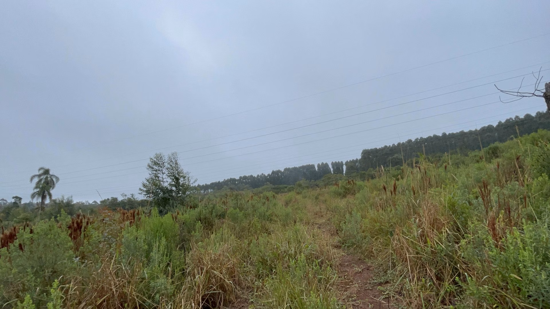 Sítio de 7 ha em Santo Antônio da Patrulha, RS