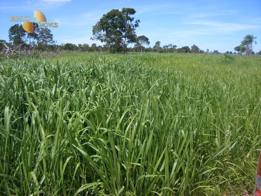 Fazenda de 2.627 ha em Cáceres, MT