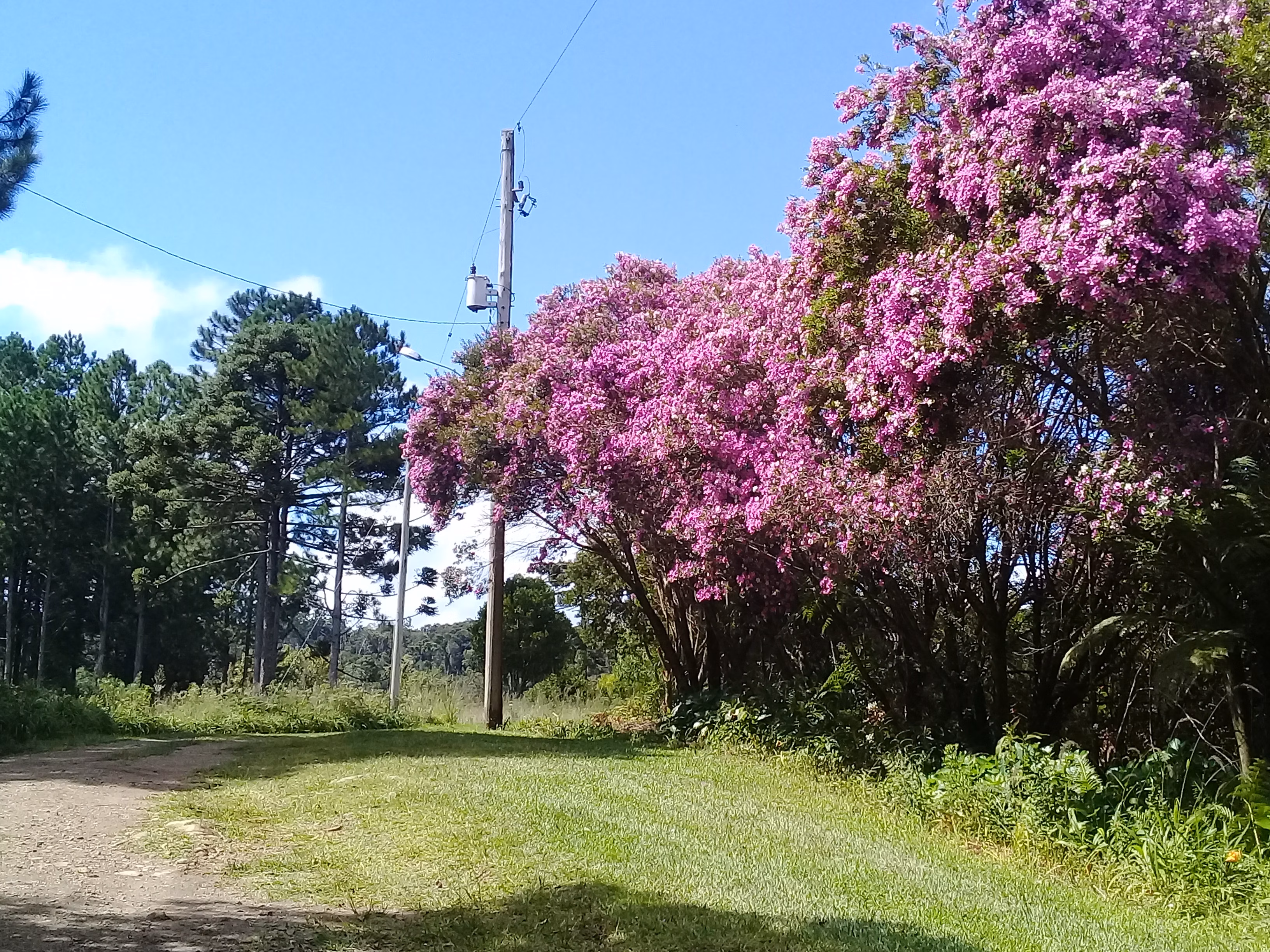 Sítio de 21 ha em Gramado, RS
