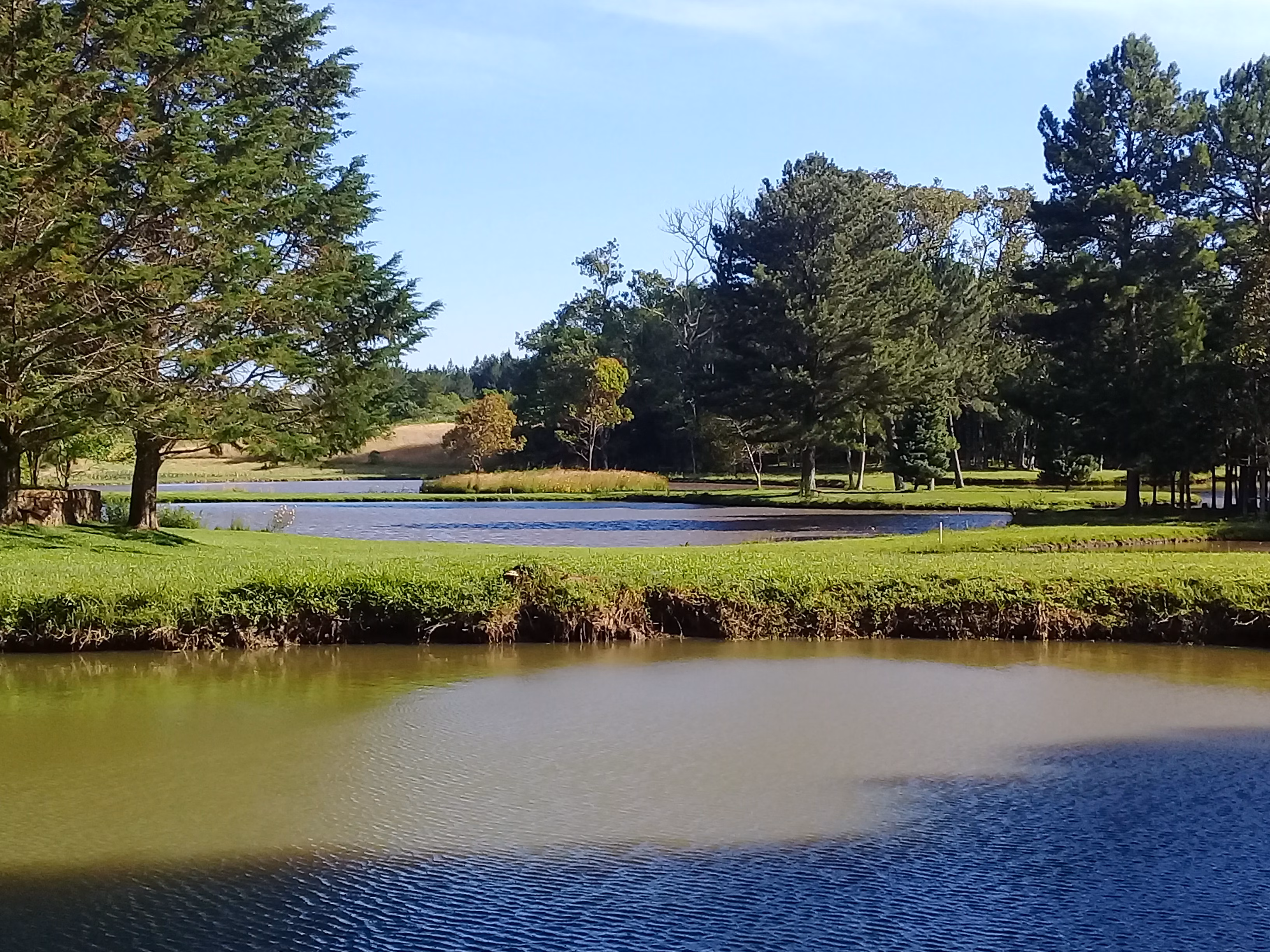 Sítio de 21 ha em Gramado, RS