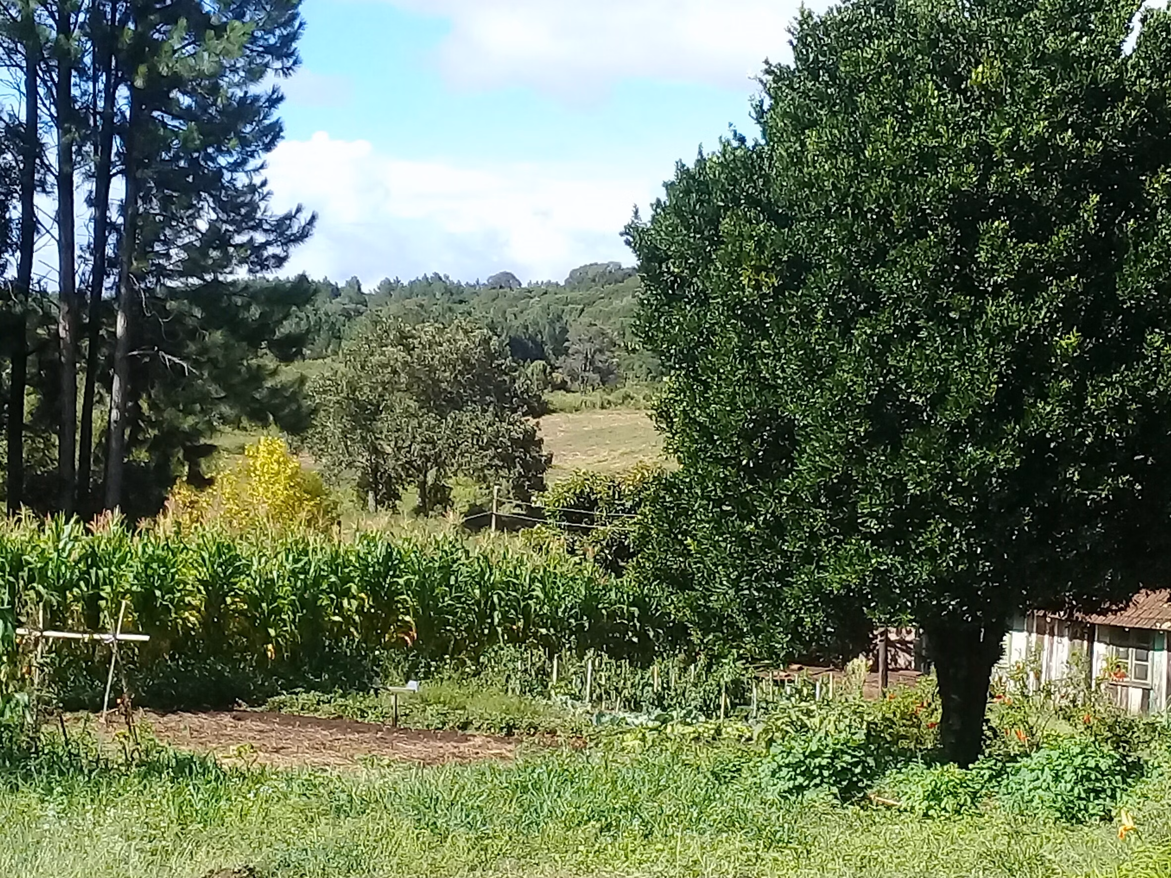 Sítio de 21 ha em Gramado, RS