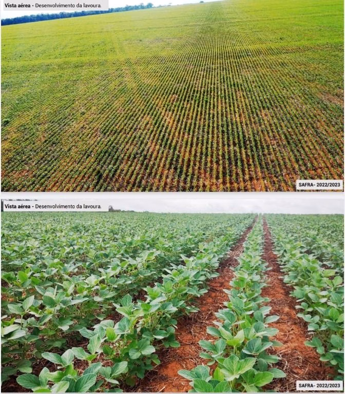 Fazenda de 6.400 ha em Nova Mutum, MT