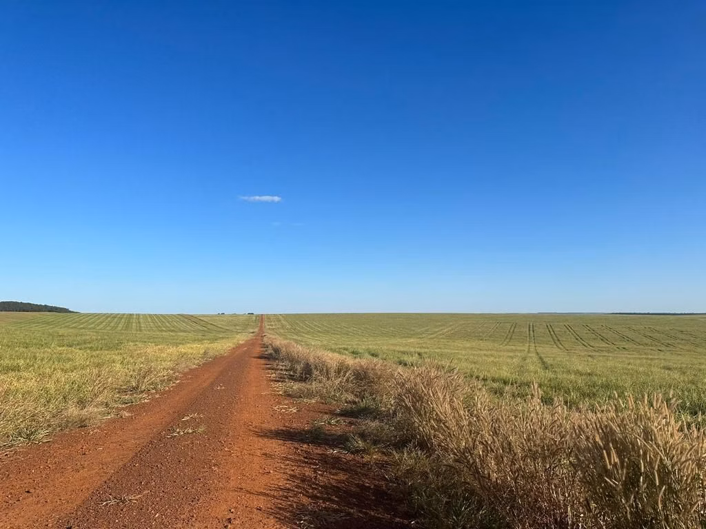 Fazenda de 6.400 ha em Nova Mutum, MT