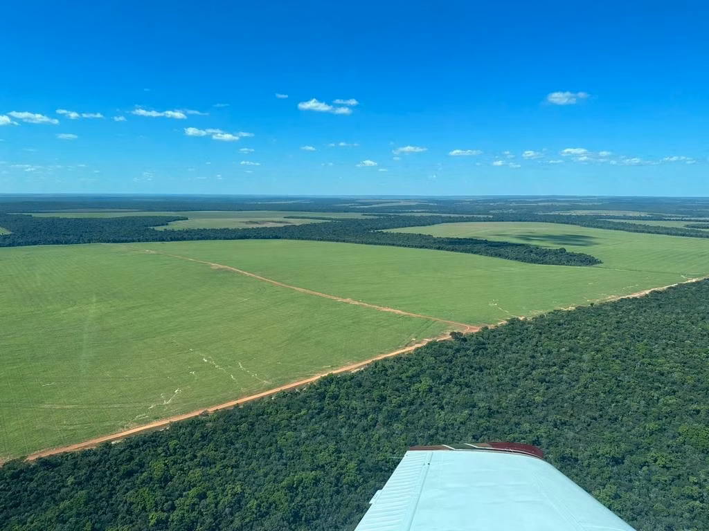 Fazenda de 6.400 ha em Nova Mutum, MT