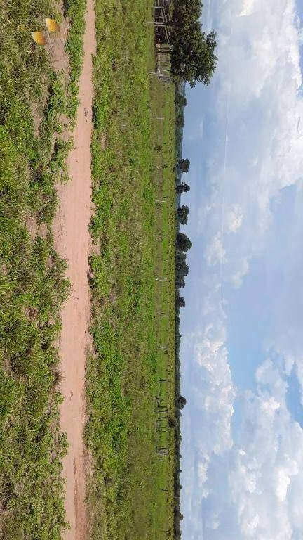 Fazenda de 949 ha em Gaúcha do Norte, MT