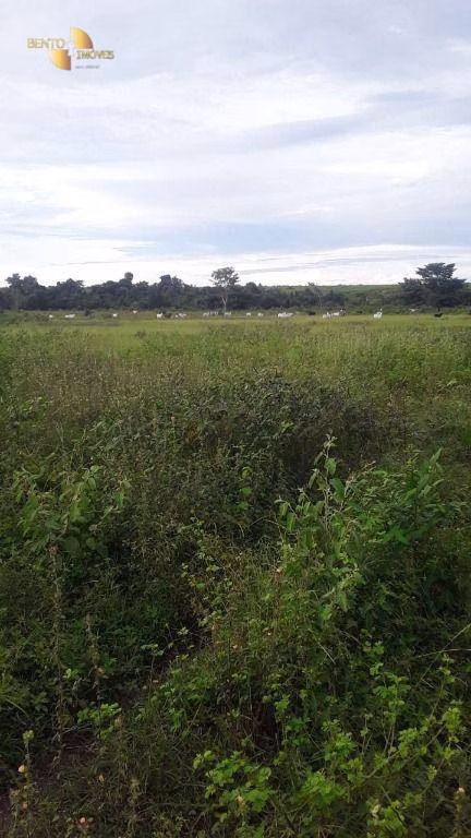 Fazenda de 949 ha em Gaúcha do Norte, MT