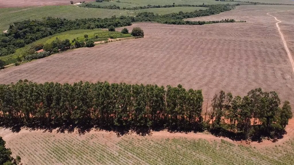 Fazenda de 165 ha em Itaí, SP