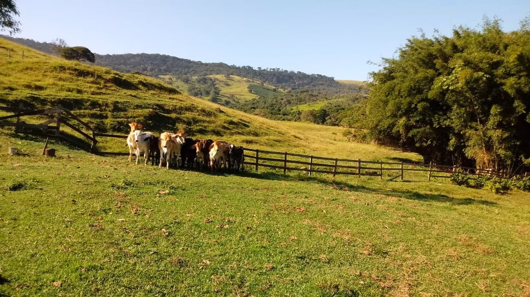 Fazenda de 121 ha em Cambuquira, MG