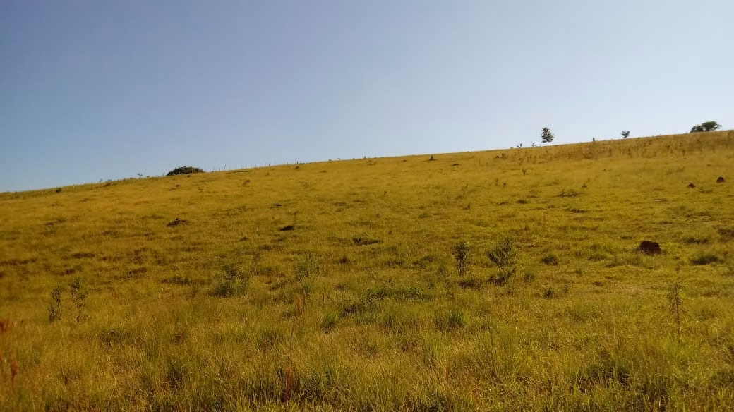 Fazenda de 121 ha em Cambuquira, MG
