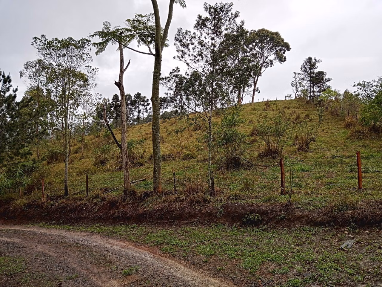 Plot of 18 acres in São José dos Campos, SP, Brazil