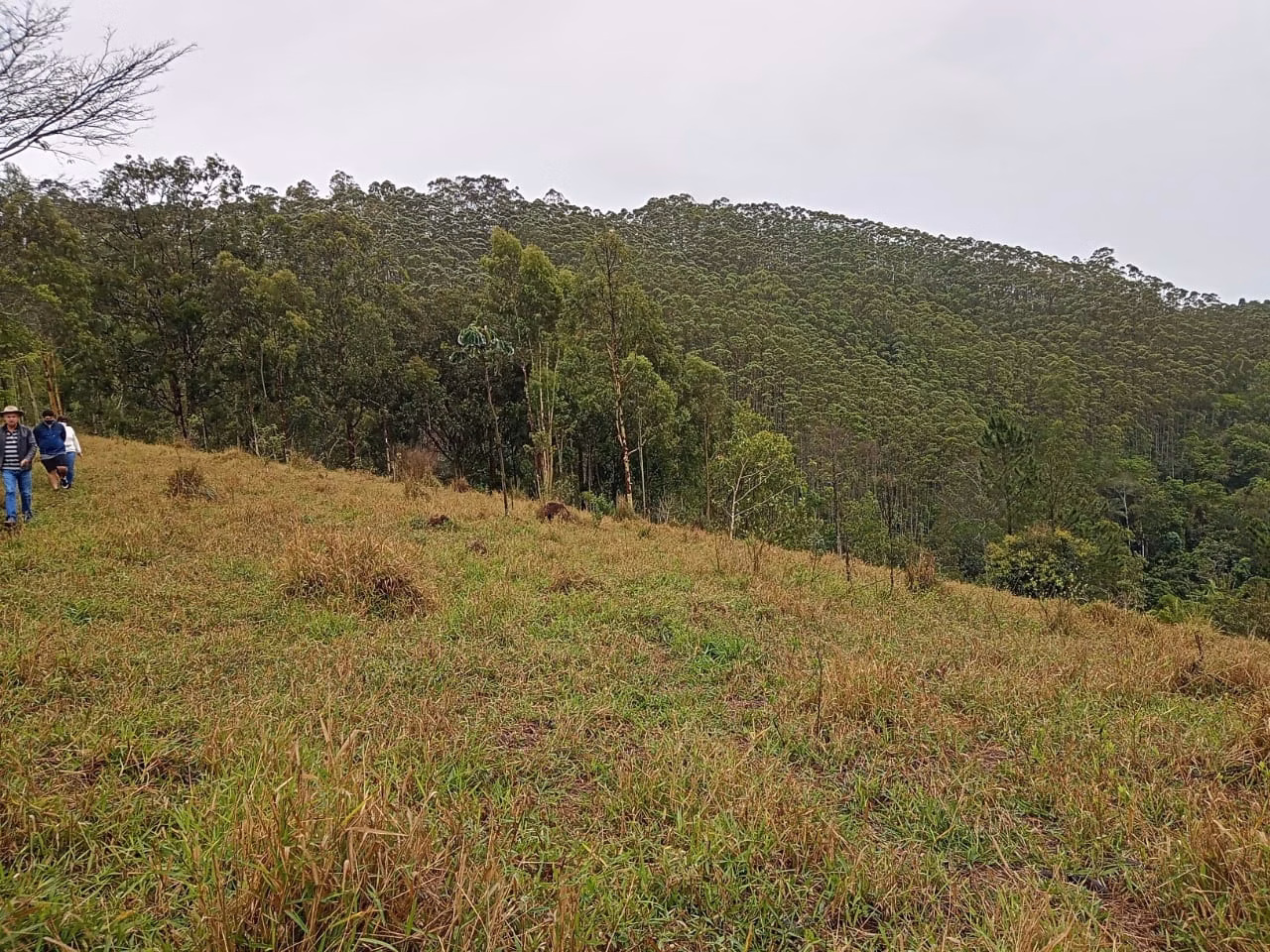 Plot of 18 acres in São José dos Campos, SP, Brazil