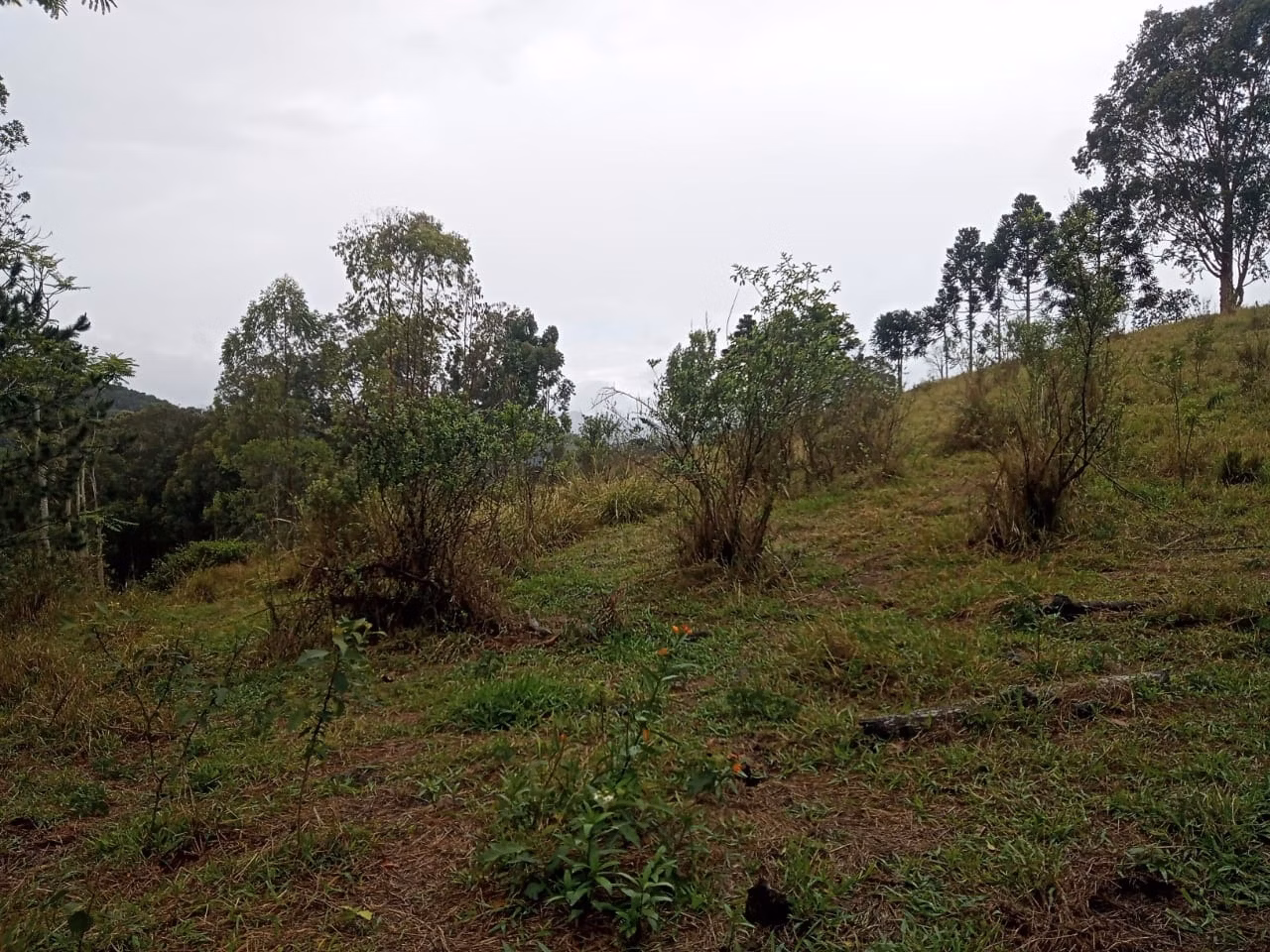 Plot of 18 acres in São José dos Campos, SP, Brazil