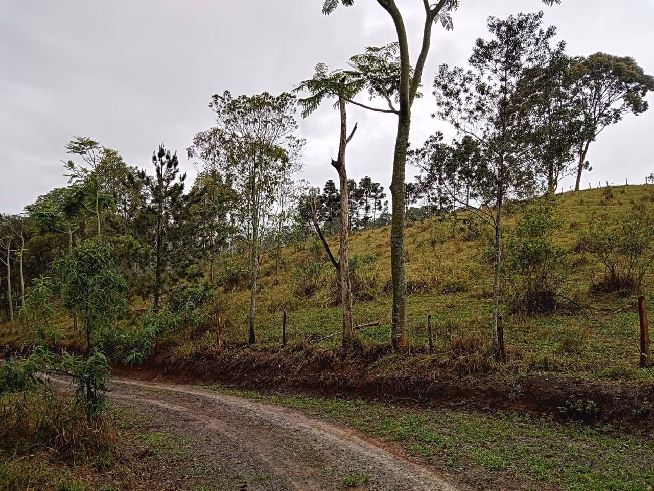 Plot of 18 acres in São José dos Campos, SP, Brazil