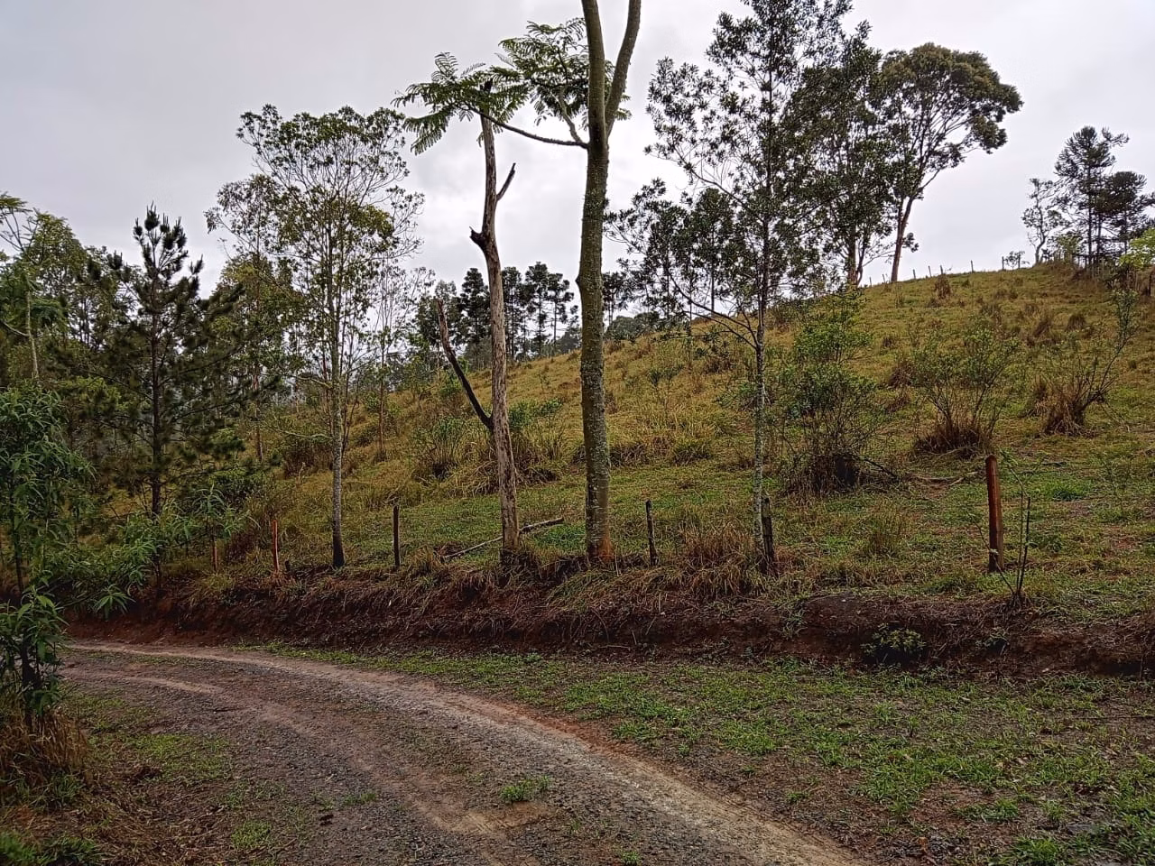 Plot of 18 acres in São José dos Campos, SP, Brazil