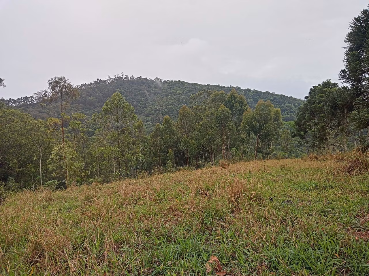 Plot of 18 acres in São José dos Campos, SP, Brazil