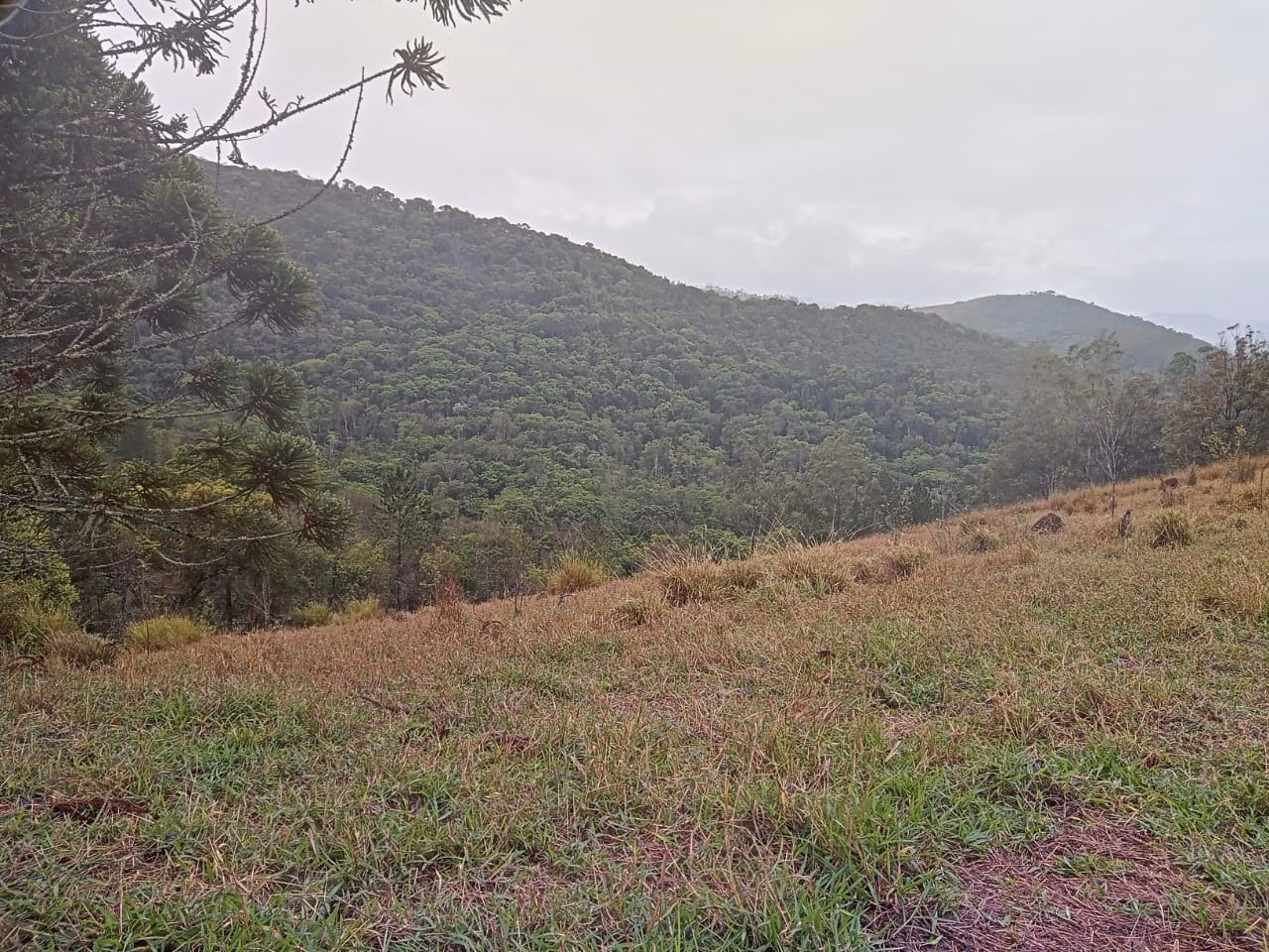 Plot of 18 acres in São José dos Campos, SP, Brazil