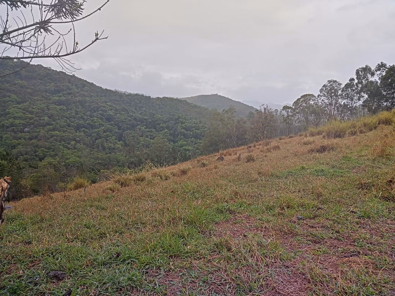 Plot of 18 acres in São José dos Campos, SP, Brazil