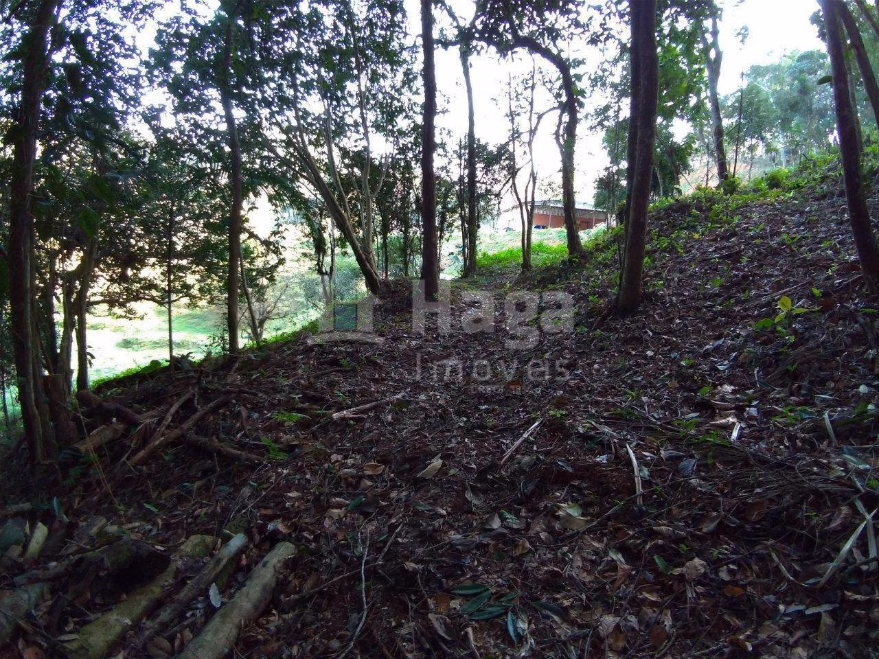 Chácara de 5 ha em Gaspar, SC